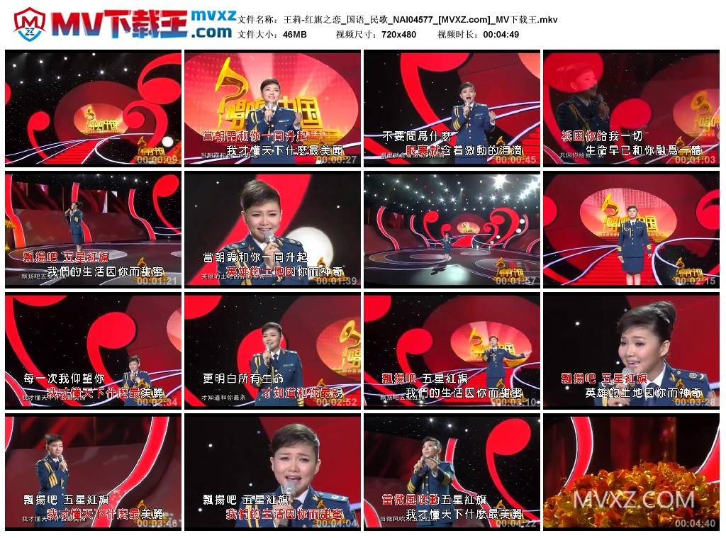 王莉-红旗之恋_国语_民歌_NAI04577